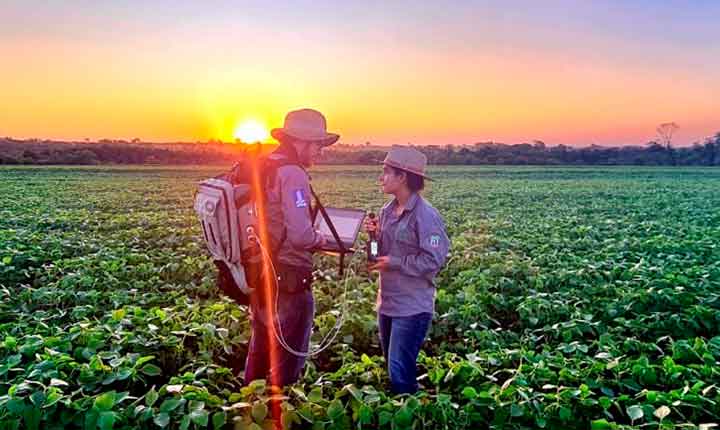 Sustentabilidade: florestas plantadas em MS contribuem para a meta de carbono neutro