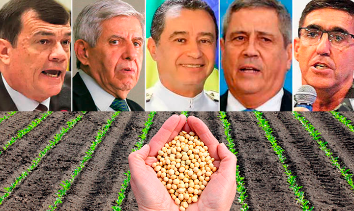 Divulgação