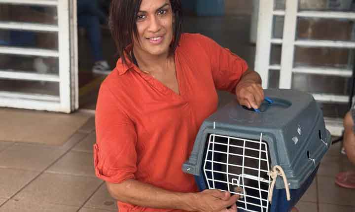 Atendimento presencial para castração de gatos tem grande adesão