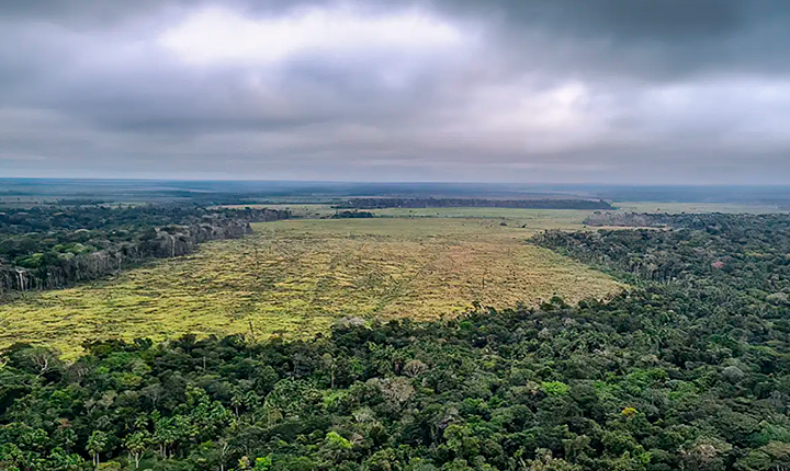 Mato Grosso em rota de colisão ambiental