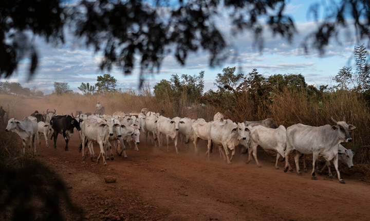 agro meio ambiente