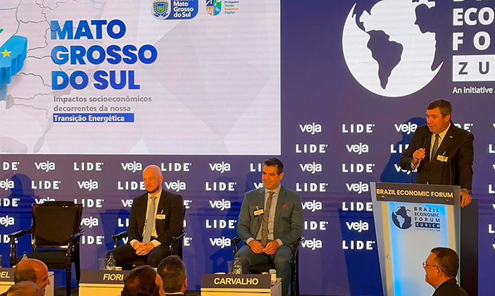 Riedel defende que Brasil lidere transição energética no mundo