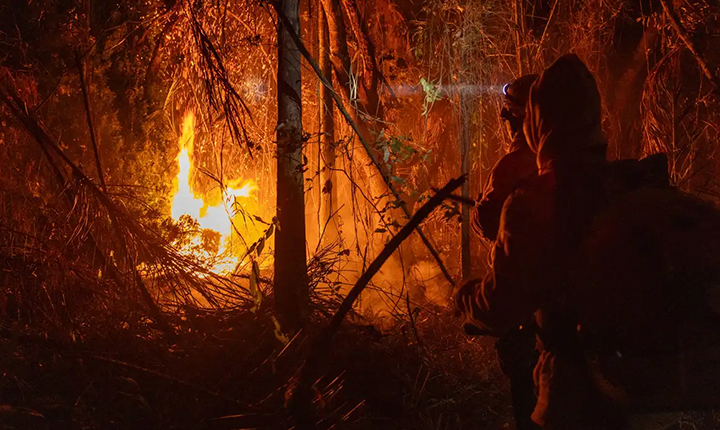 Avanço das queimadas expõe contradições na governança climática