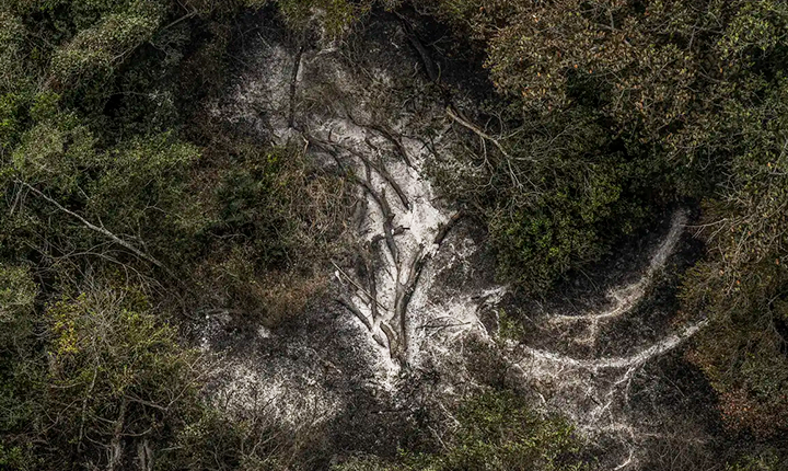 AGU cobra R$ 725 milhões de três infratores por danos ambientais no Pantanal