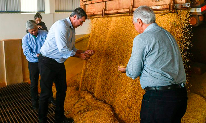 Capacidade de processar soja em MS crescerá 20%
