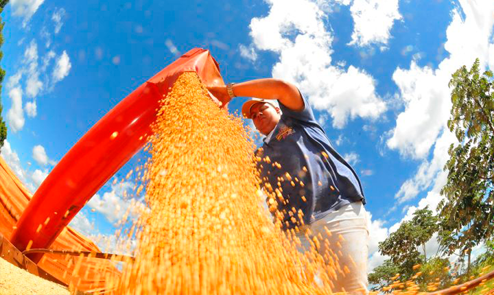MS fecha 2024 com superávit de US$ 7,1 bilhões na balança comercial