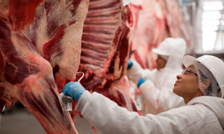 Mato Grosso do Sul registrou aumento de 33,73% nas exportações de carne bovina em 2024