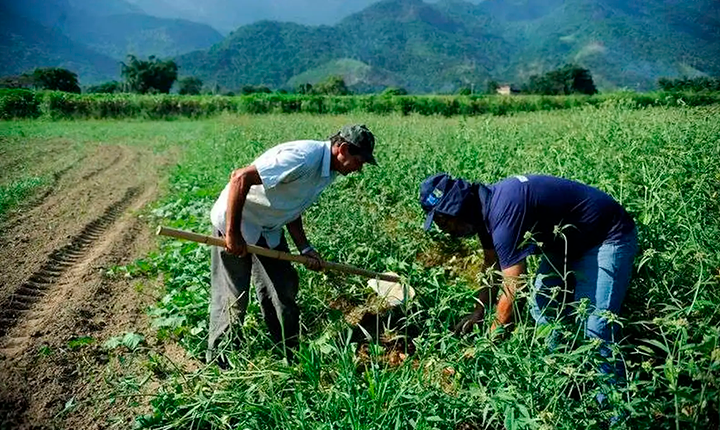 Desenrola Rural ajudará 1,3 milhão de famílias endividadas