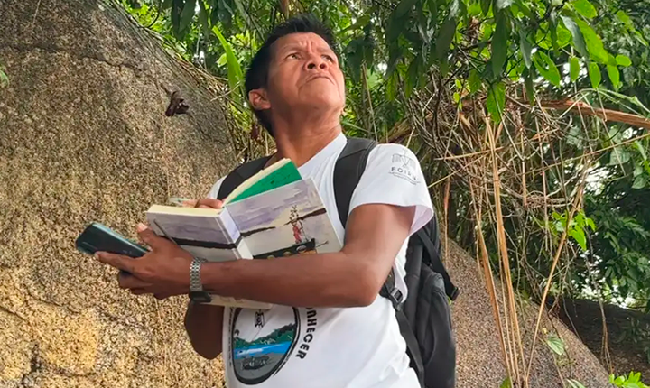 Divulgação