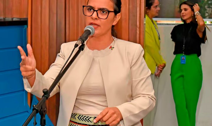 Gleice Jane ressalta a importância de um novo protocolo de atendimento à vítima de violência doméstica