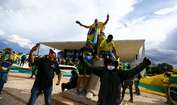 Divulgação