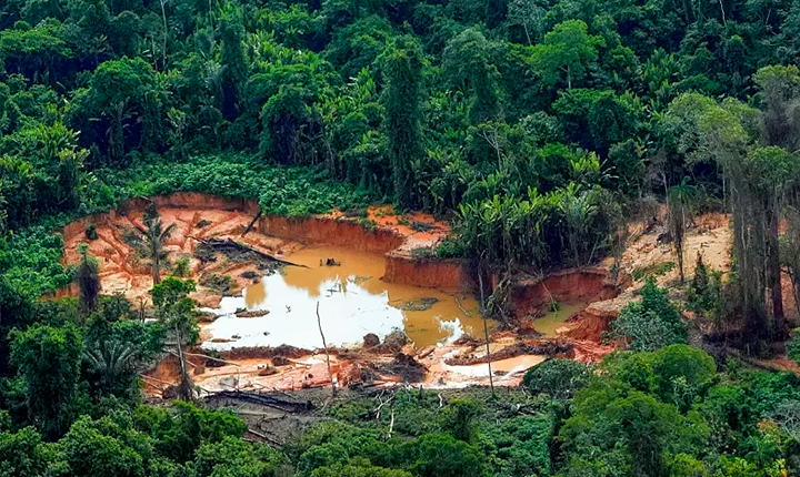O avanço do garimpo ilegal e a crise dos ribeirinhos na Amazônia