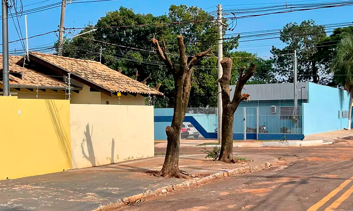 Campo Grande é uma das cidades mais arborizadas do mundo