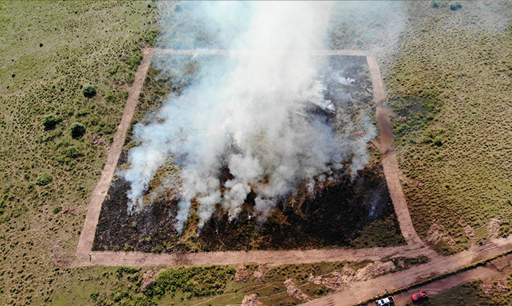 Resiliência do Pantanal é marcada por ciclos de cheia, seca e fogo