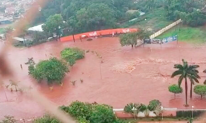 Divulgação