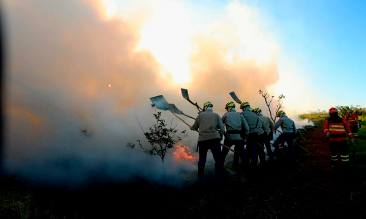 Prevenção aos incêndios em MS