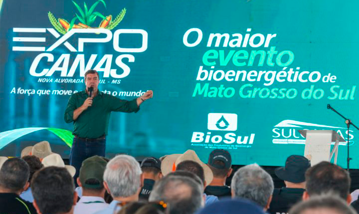 Divulgação
