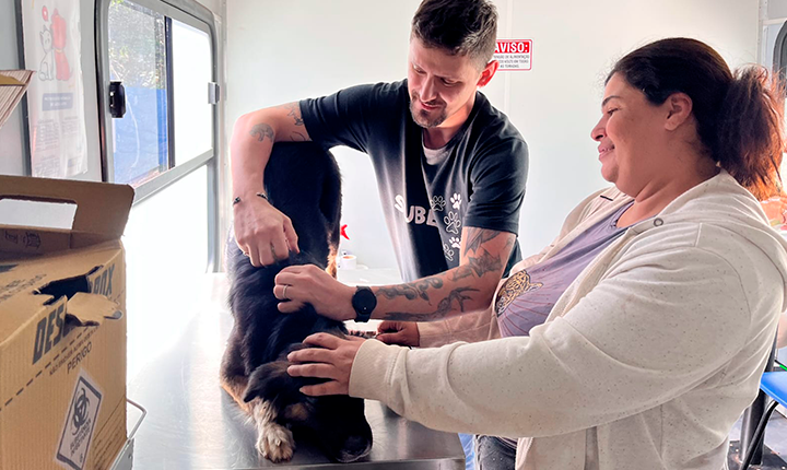Serviço itinerante da SUBEA garante acesso gratuito à saúde animal