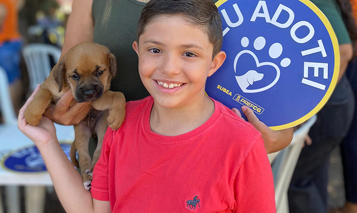 Feira de adoção oferece 60 pets em Campo Grande