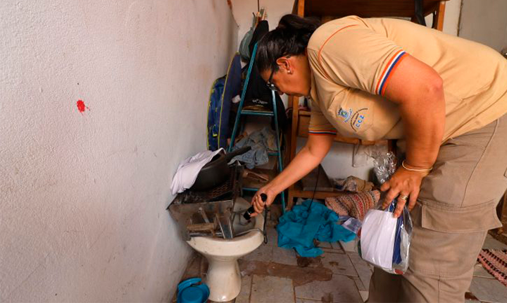 MS registra 2.891 casos confirmados de dengue
