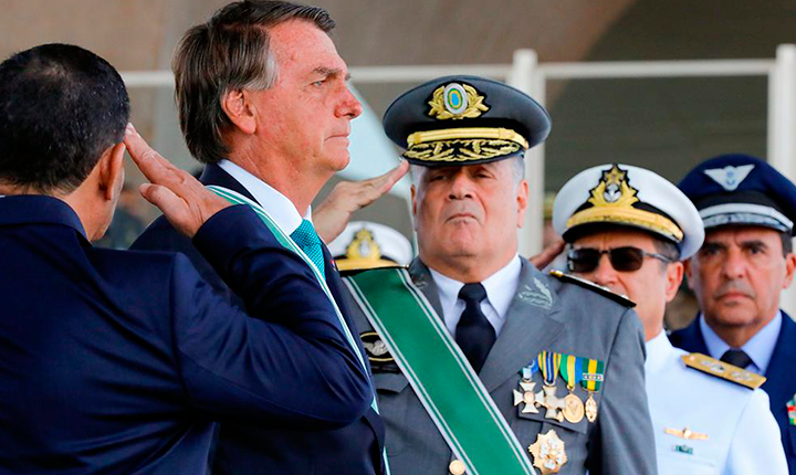 Divulgação
