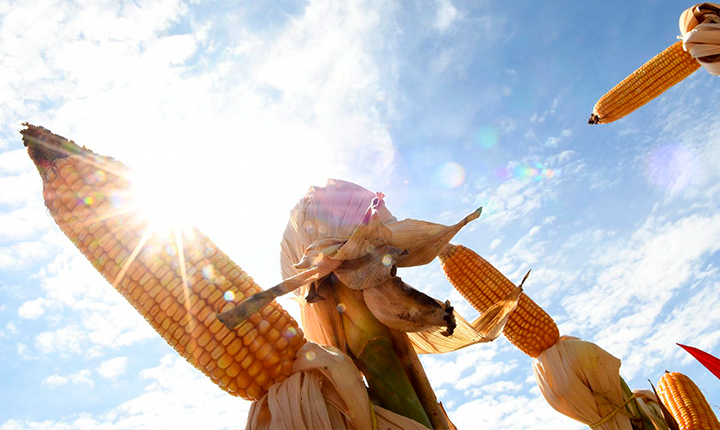 agro pib ms
