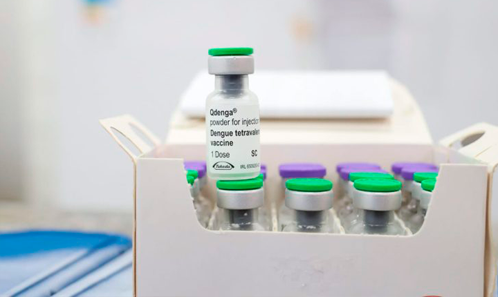 Vacina dengue ms