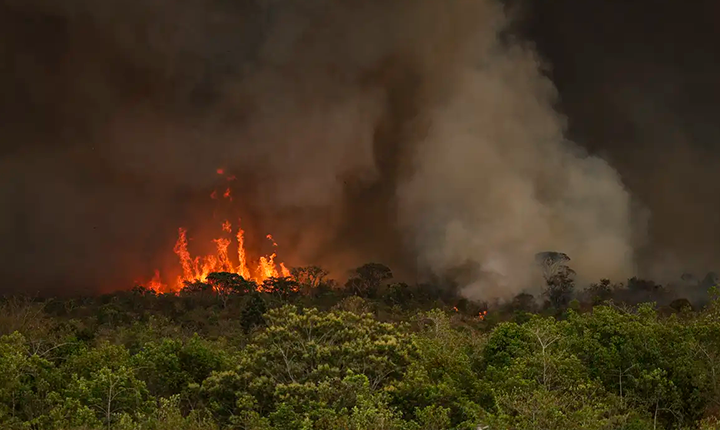 Fogo destruiu 90 mil campos de futebol no Pantanal nos últimos 40 anos