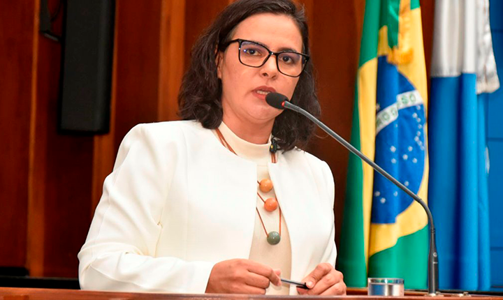 MS pode ter o Dia pelo Direito dos Domésticos