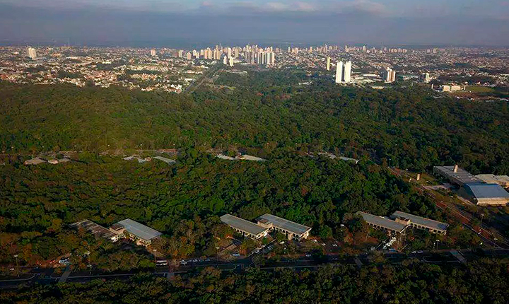 Desmatamento suspenso no Parque dos Poderes