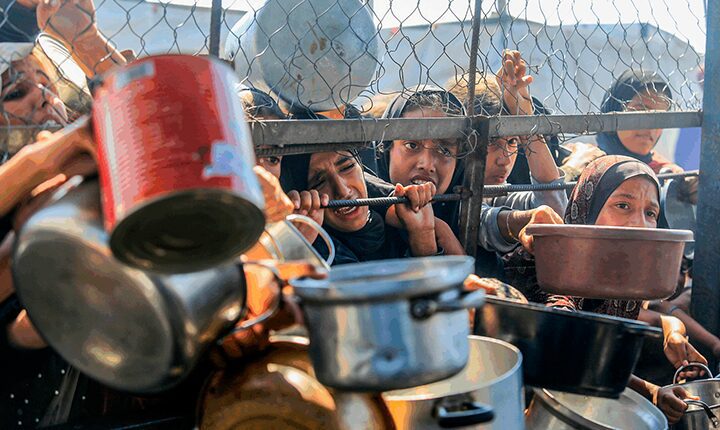 Genocídio: violência derruba natalidade de palestinos em 41%