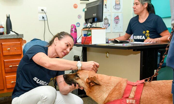Prefeitura leva ações de Bem-Estar Animal a diversos bairros em agosto