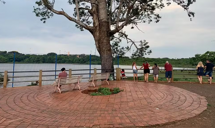 Divulgação