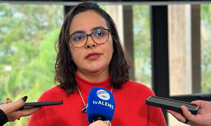 Gleice Jane destaca importância da valorização da educação básica durante reunião