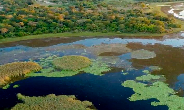 Parque do Pantanal do Rio Negro é modelo nacional na geração de créditos ambientais