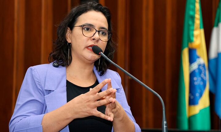 Audiência pública debate Política Nacional Aldir Blanc de Fomento à Cultura