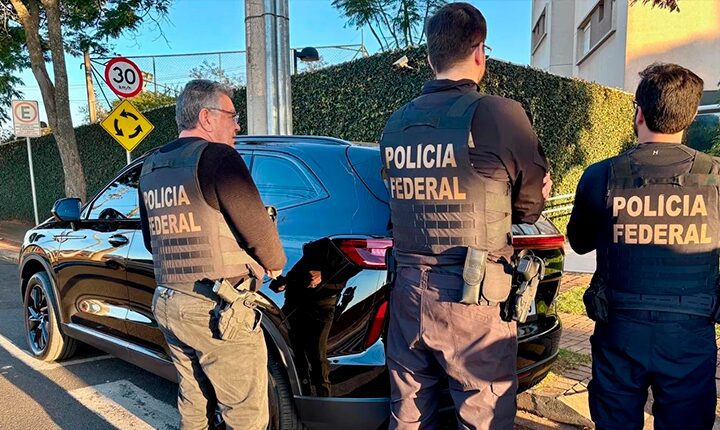 Divulgação
