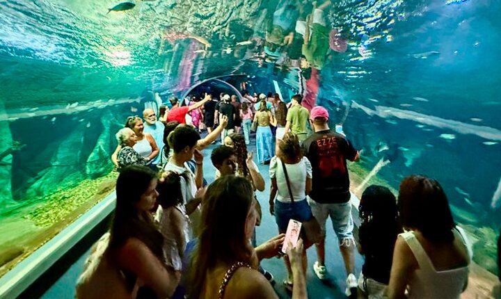 Bioparque Pantanal bate recorde de visitantes