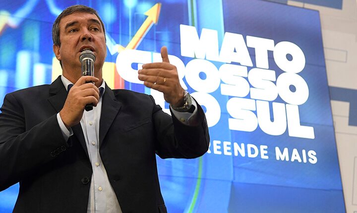 Exportações de MS totalizam US$ 6,3 bi, puxadas por celulose, soja e carne bovina