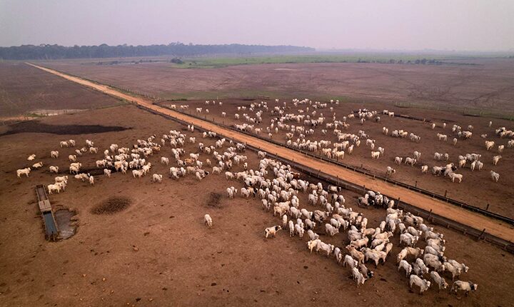 Plano Clima: agro ‘nega a realidade’, diz Ministério do Meio Ambiente