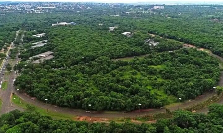 Justiça libera obras no entorno do Parque do Prosa