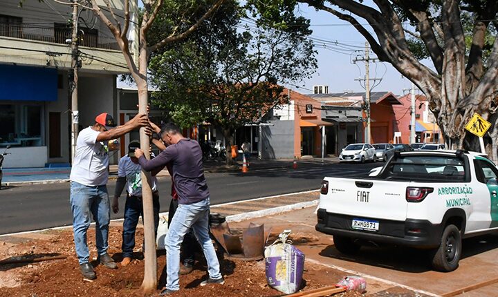 Saiba como ganhar mudas frutíferas em Campo Grande neste sábado