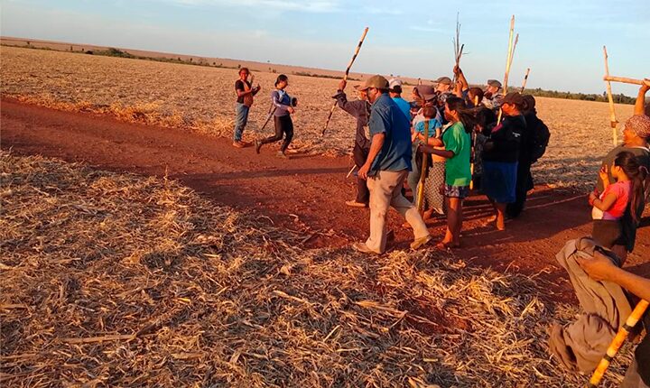 Bombas de gás, agressão a animais: violência contra indígenas segue em Caarapó