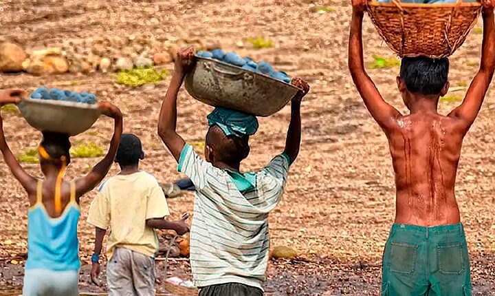 ONG alerta para alta do trabalho infantil entre crianças de 5 a 9 anos