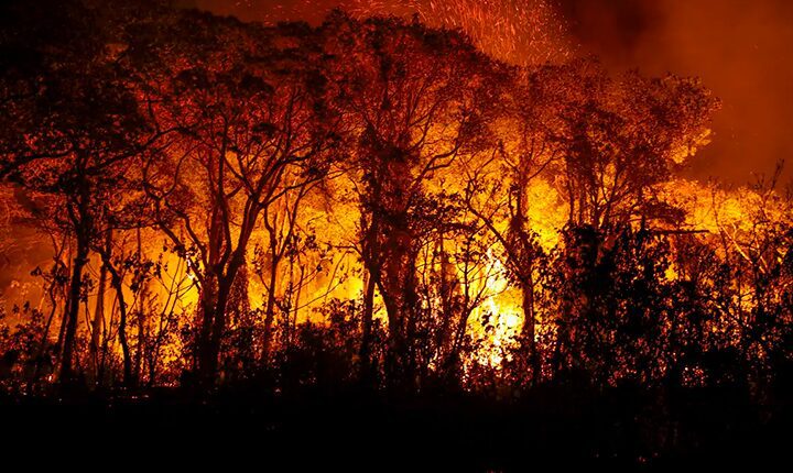 MS decreta emergência ambiental diante do avanço de incêndios florestais