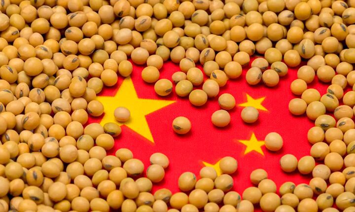 China suspende compra de soja dos EUA e consolida Brasil como principal fornecedor