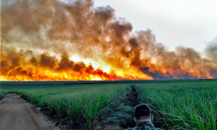 Governo Federal reconhece emergência em 11 cidades de MS por incêndios florestais