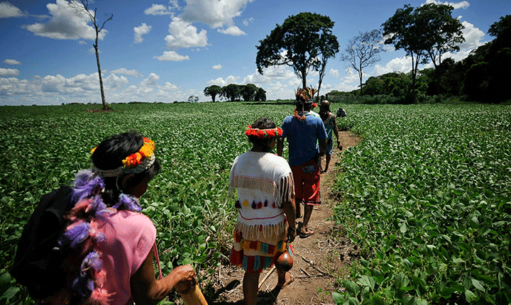 Trabalho escravo resiste nas sombras do campo em MS