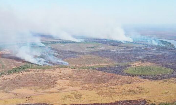 Grilagem no Pantanal envolve servidores públicos e causa prejuízo bilionário