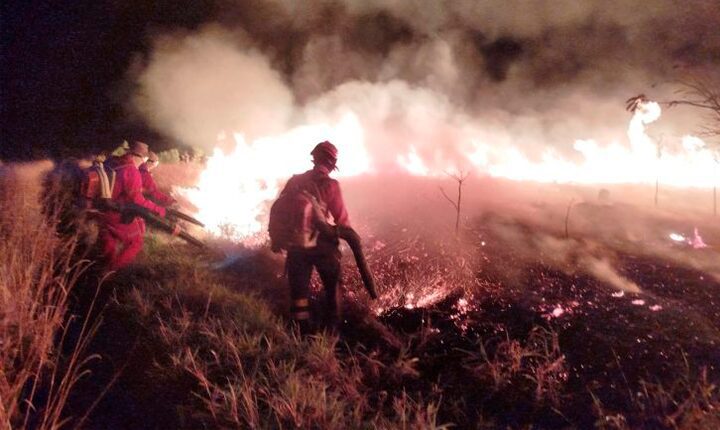 Incêndios avançam e ameaçam santuários naturais no Pantanal